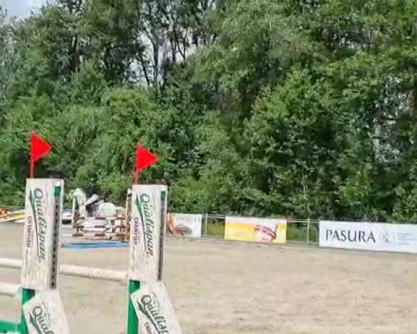 Reitturnier Maienfeld 2021