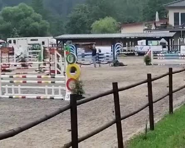 Reitturnier Zweibrücken-Landgestüt 2021