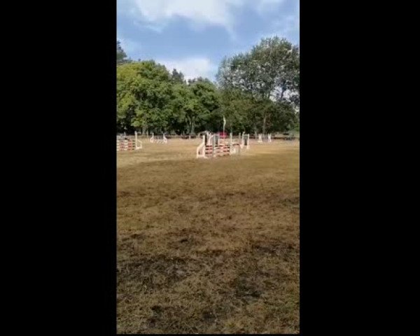 Video of Charlie's little Tinkerbell
