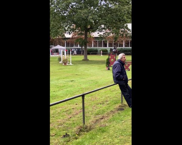 Video of Can do it 17