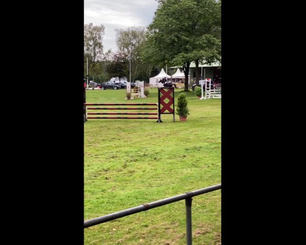 Video of Can do it 17