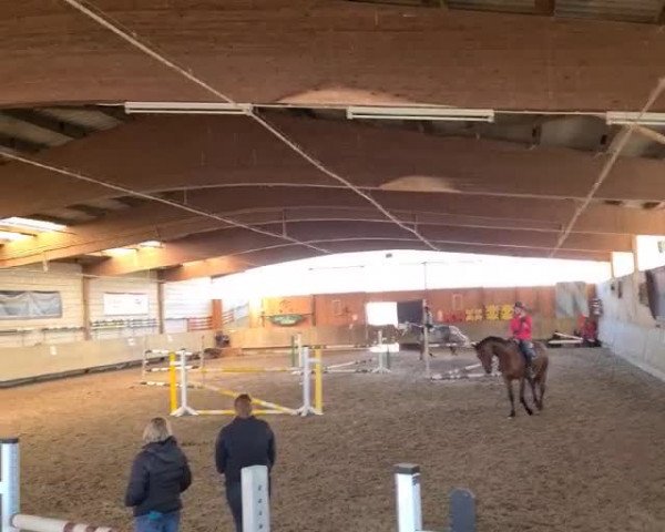 Video von Lady Levis hgl