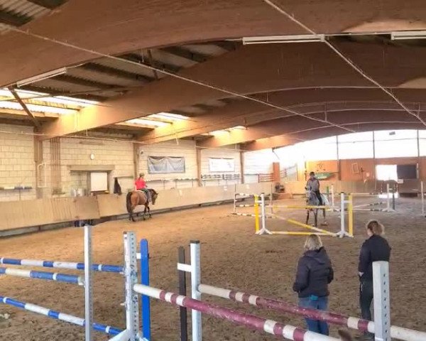 Video von Lady Levis hgl