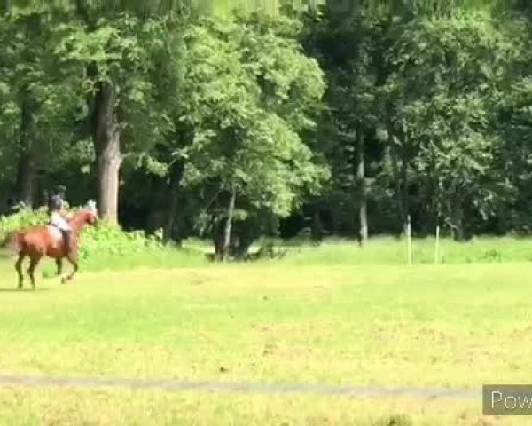 Video von Coolman