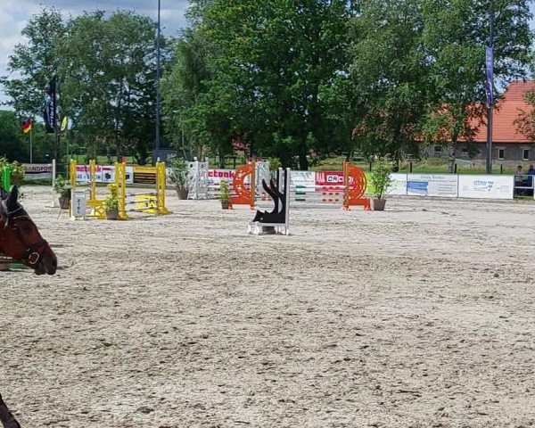 Video von Dargur