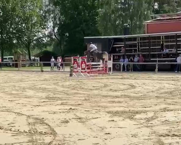 Reitturnier Südlohn-Oeding 2021