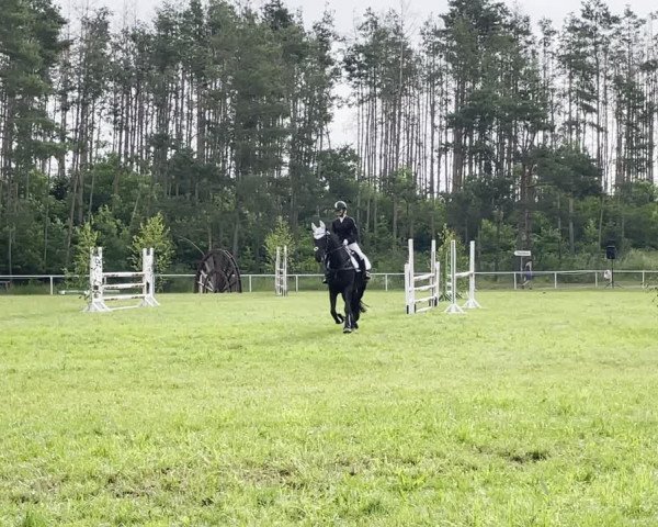 Reitturnier Würchwitz 2021