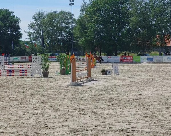 Video von Dargur