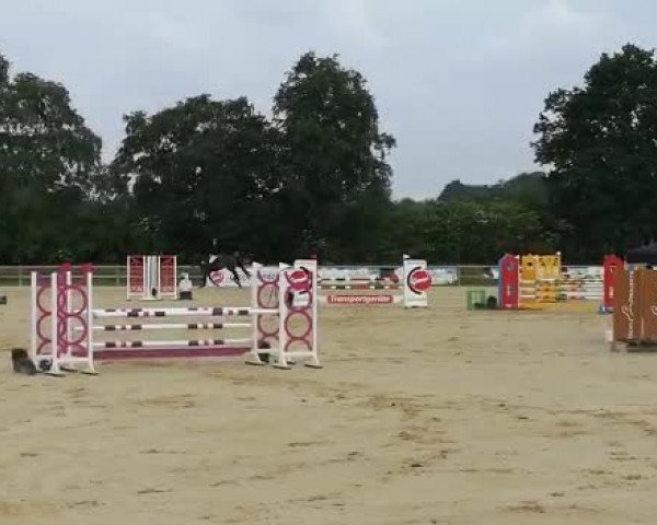 Video of Shynea