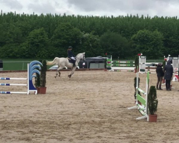 Video of Clarissa