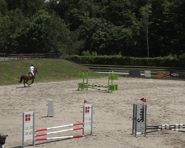 16.06.21
B70