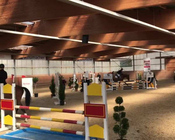 Reitturnier Sonnefeld-Bieberbach/Ofr. 2019