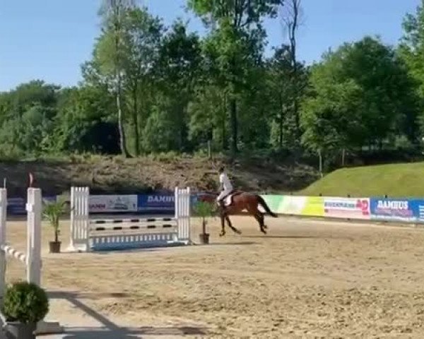 Video of Kleine Inge