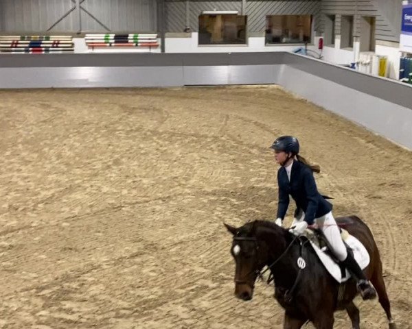 Video von Diabolo B 2