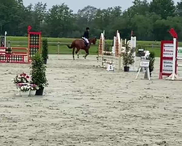 Video of Quaterback's King