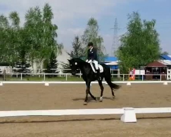 Video von Sierra Rubina