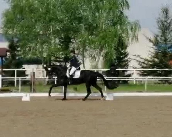 Video von Sierra Rubina