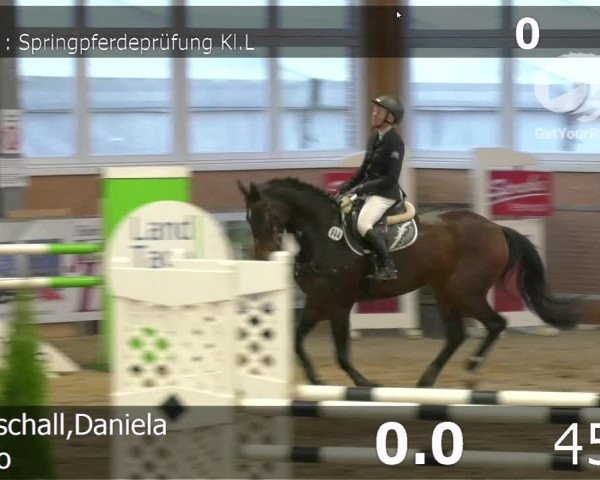 Video of Oliso