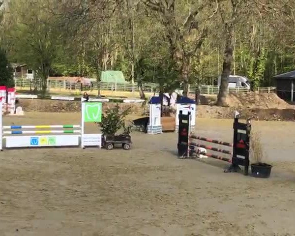 Video of Horst von Hohenholz