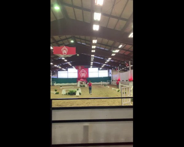 Video von Nele K