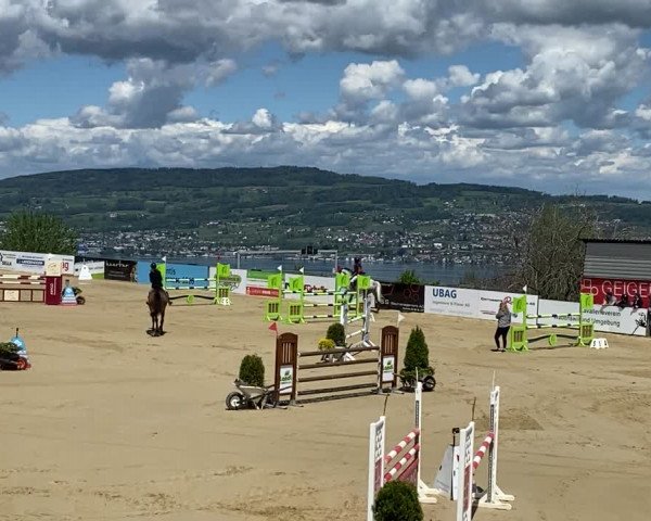 Video of Zoom Zoom du Gibet