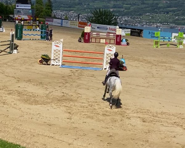 Video of Zoom Zoom du Gibet