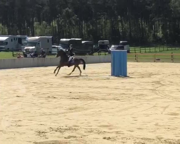 Reitturnier Klein Varlingen 2021