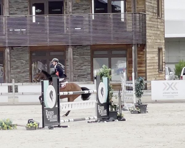 Video von Lordano's Boy 2