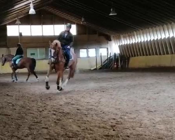 Video of Lothars Lollipop