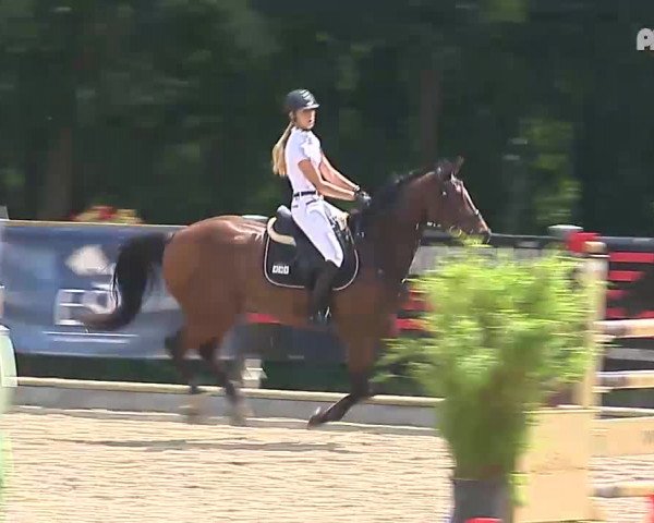 Reitturnier Löningen-Böen-Bunnen 2018