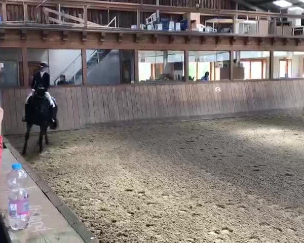 Reitturnier Essel 2021
