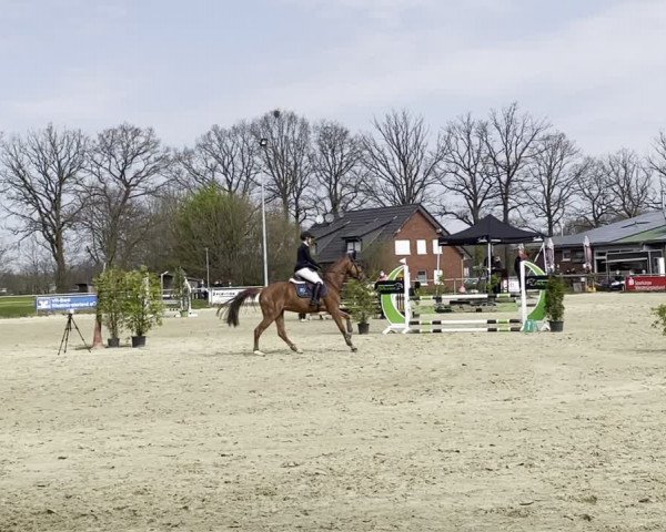 Reitturnier Coesfeld-Lette 2021
