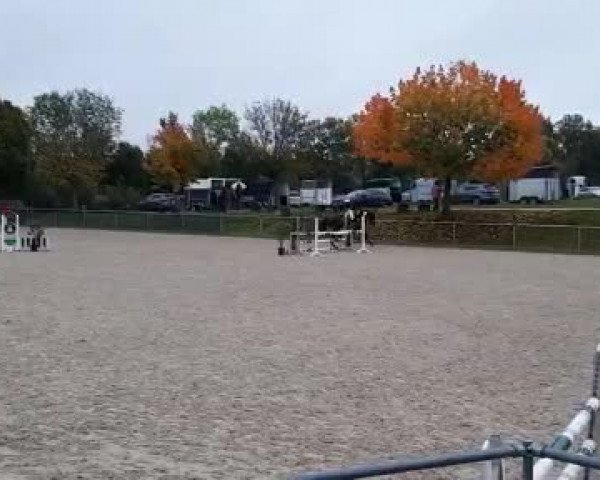 Video of Didamko PH