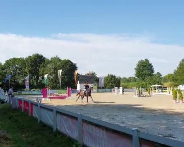 Video of Florencia 9