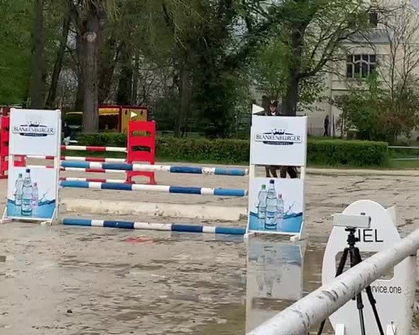 Video of For Favorite