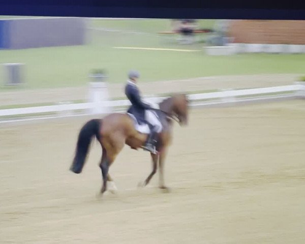 Videó: For President Awo