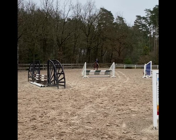 Video of Esquido 2