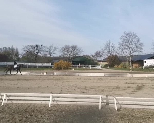 Video von Cinderella BS