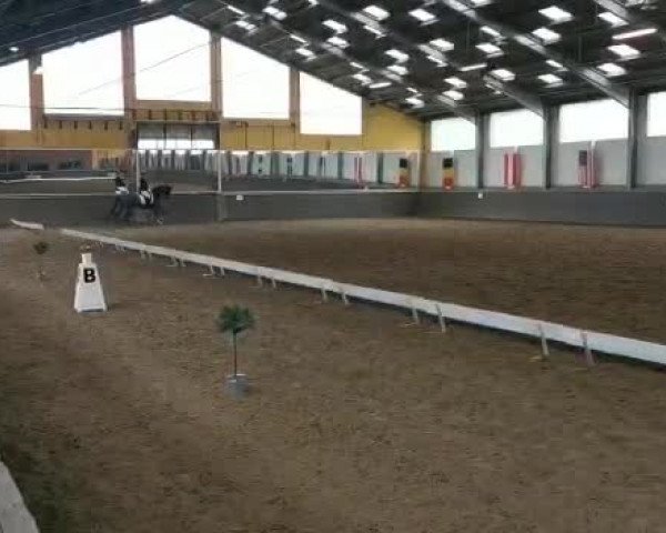 Reitturnier Vreschen-Bokel 2021