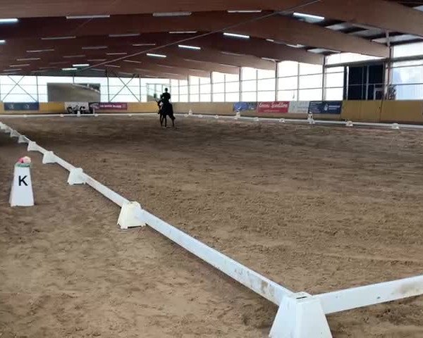 Reitturnier Pausin 2021