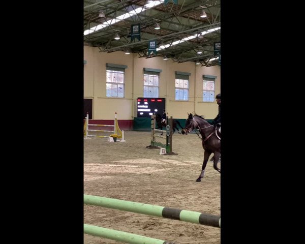 Video von Gorchidee