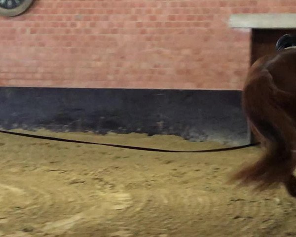 Video of Candle In The Wind 5