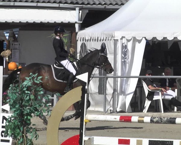 Reitturnier Neunkirchen-City 2021