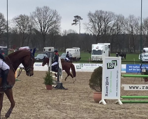Video von Querida 104