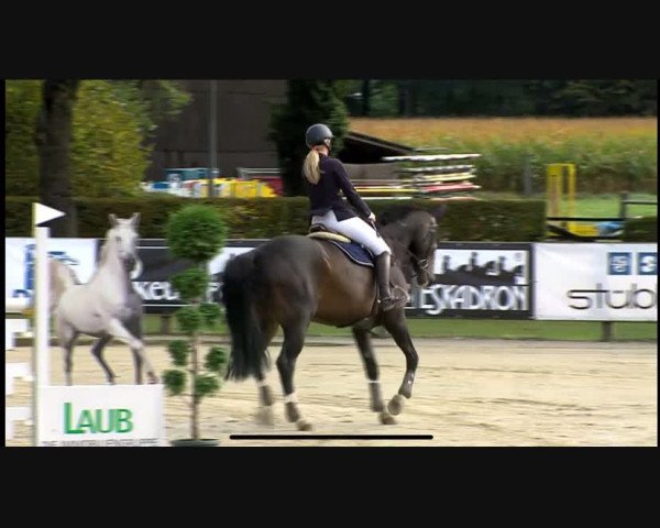 Video von Quickstead