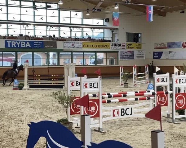 FEI Reitturnier Chevenez (SUI) 2020