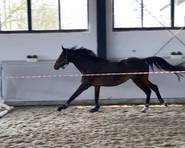 Video of Lonkens Roslin