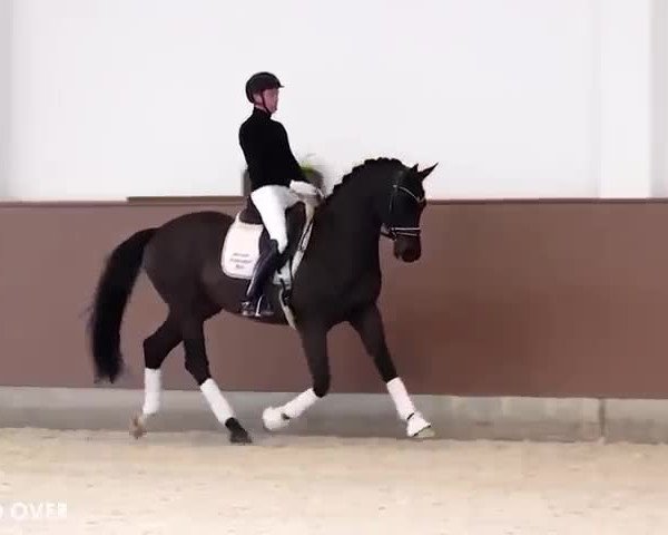 Video von Under and Over