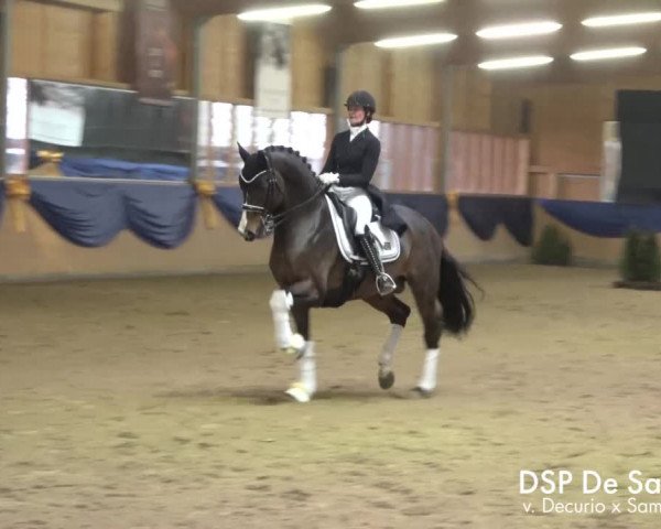 Video of DSP de Sandro