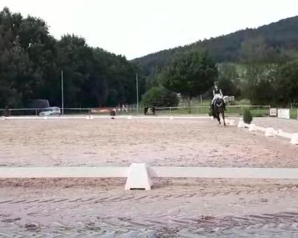 Video of Sir Alfie